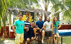 Green Nest Hostel ,Baga-Arpora, North Goa