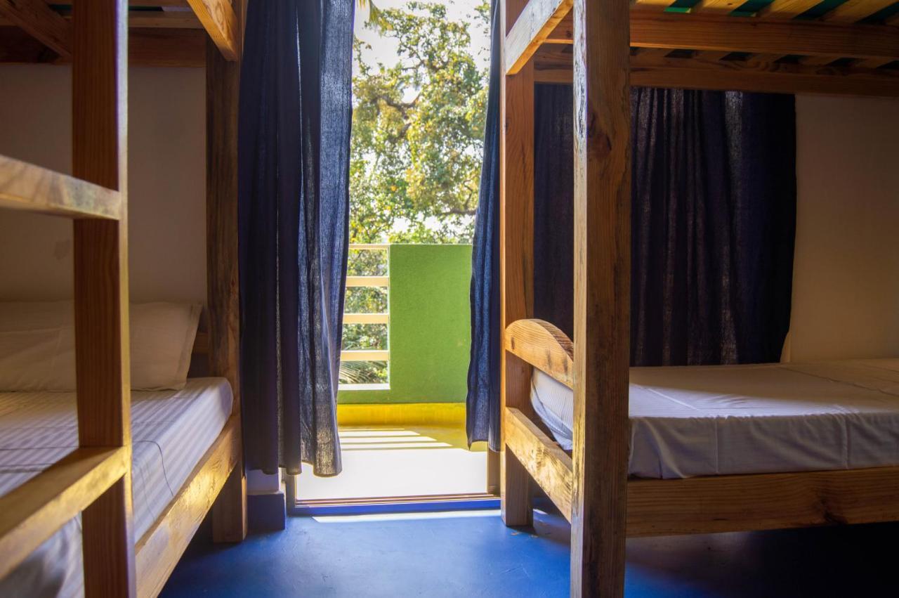 Green Nest Hostel, Baga- North Goa Arpora Exterior foto